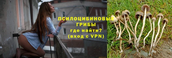 прущие крисы Касимов