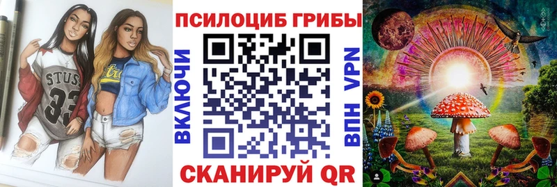 Купить где  Среднеуральск  Псилоцибиновые грибы Cubensis 